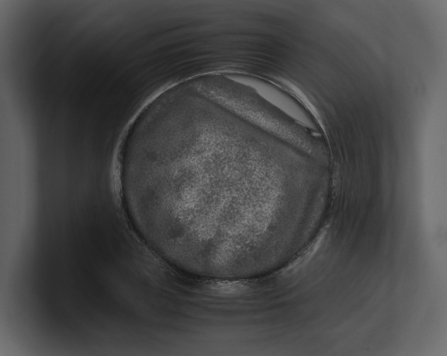 X0000100950835200807151335