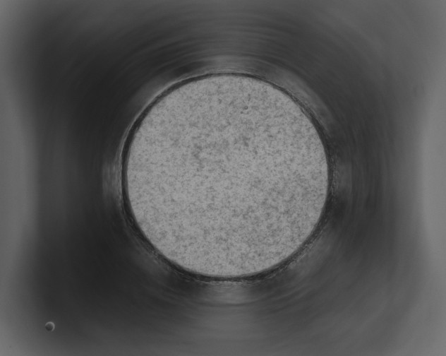 X0000100950836200807151335