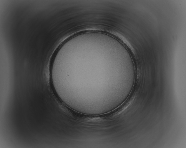 X0000100950837200807151335