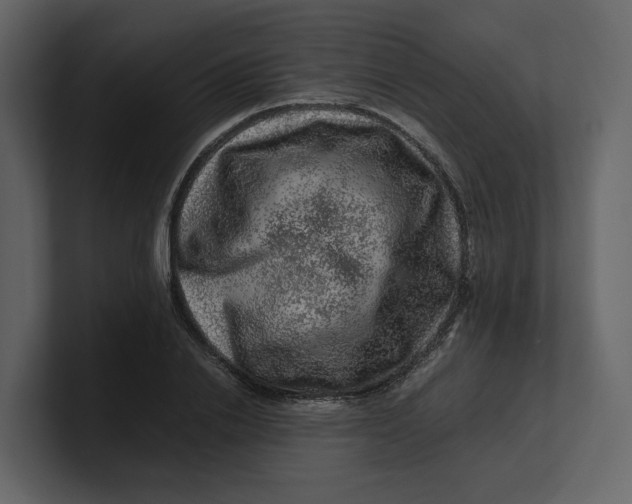 X0000100950838200807151335