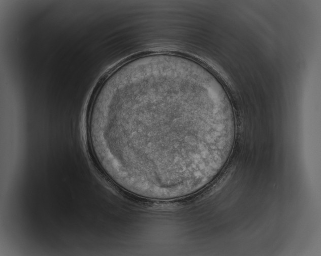 X0000100950840200807151335