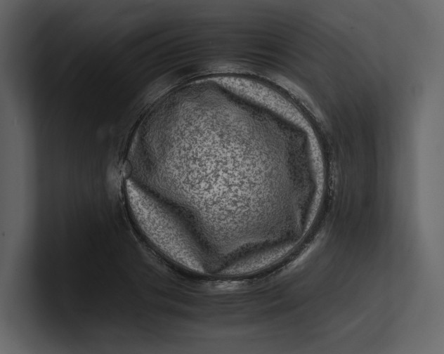 X0000100950841200807151335