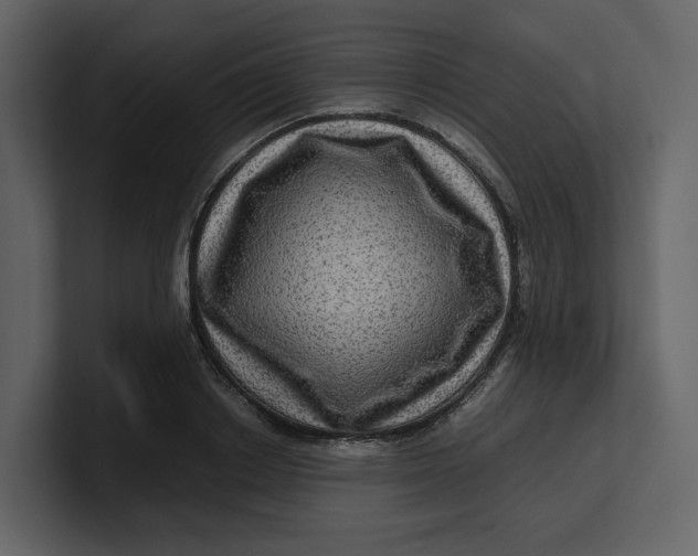 X0000100950842200807151335