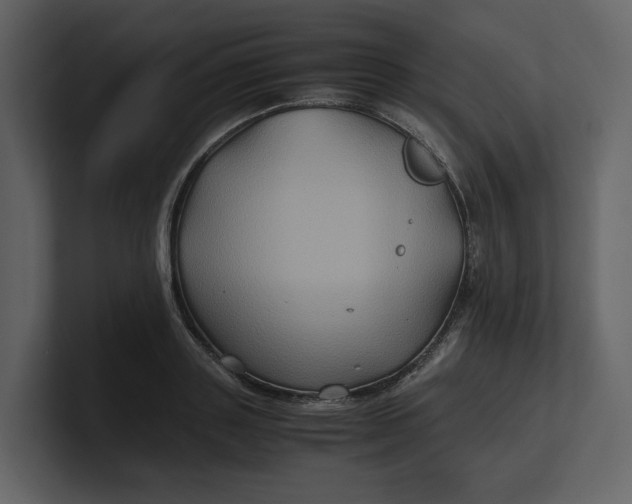 X0000100950843200807151335