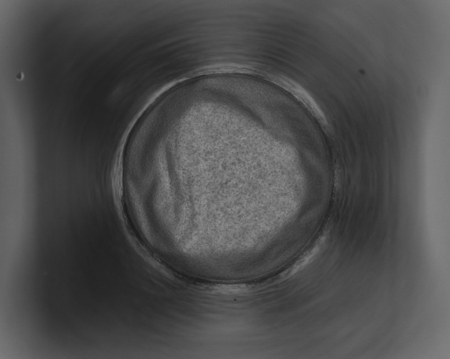 X0000100950844200807151335