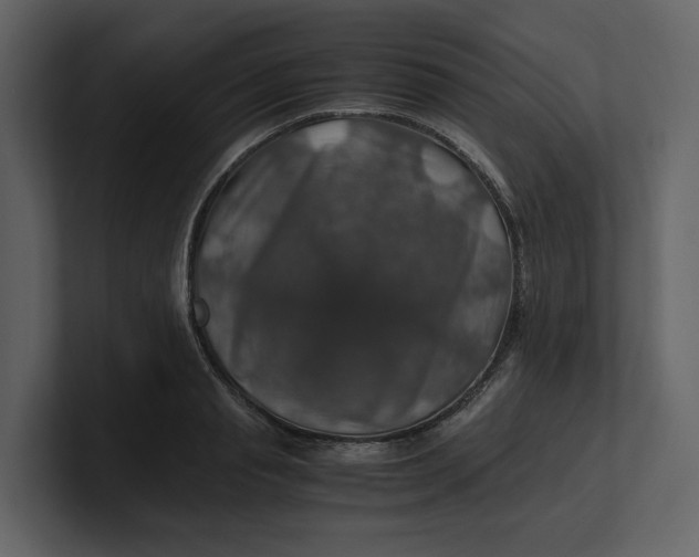 X0000100950845200807151335