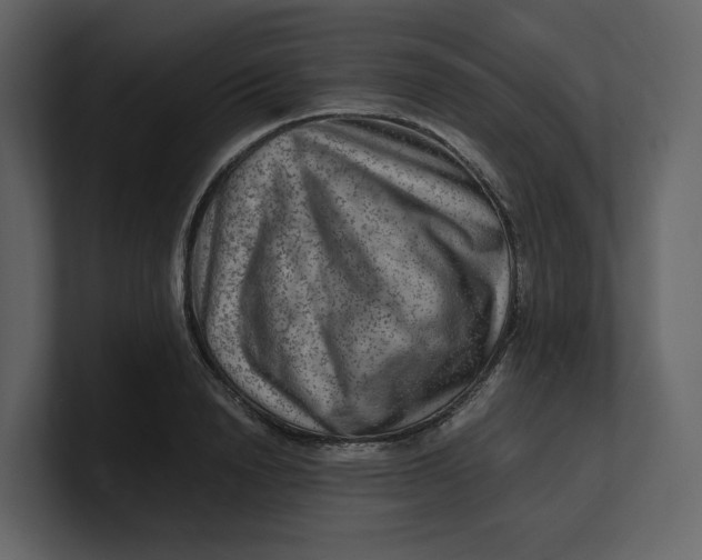 X0000100950846200807151335