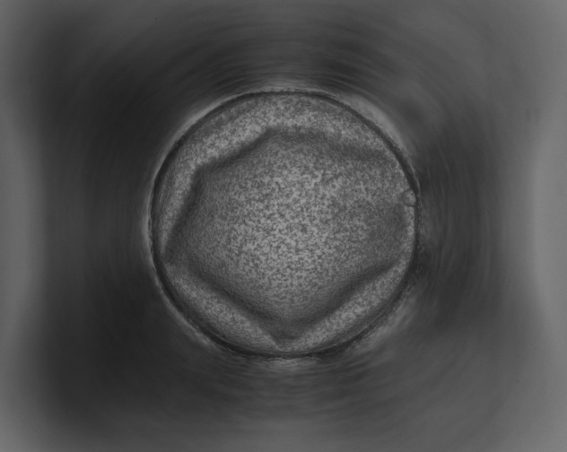 X0000100950847200807151335