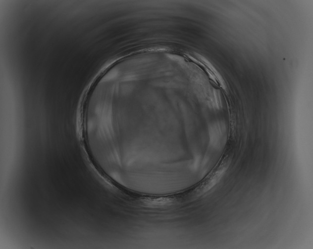 X0000100950851200807151335