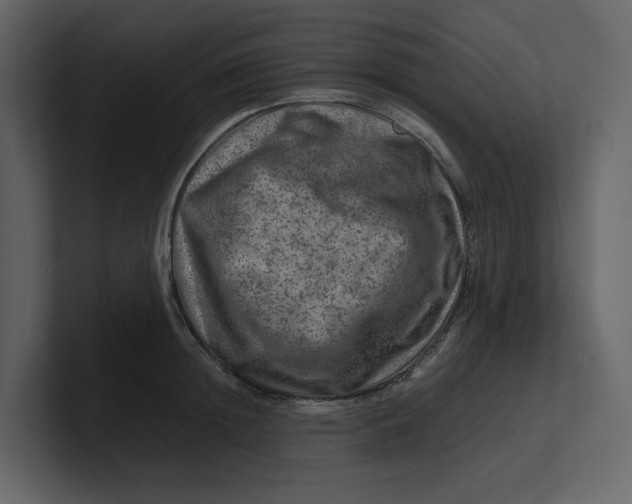 X0000100950852200807151335