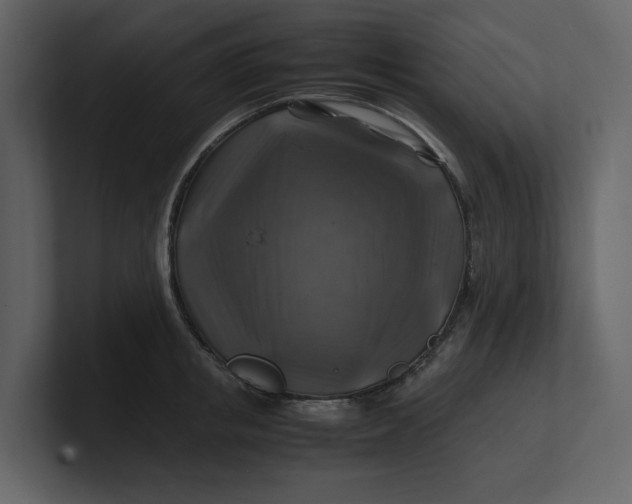 X0000100950853200807151335