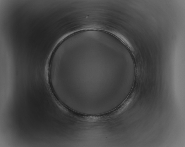 X0000100950854200807151335