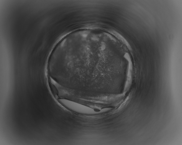 X0000100950855200807151335