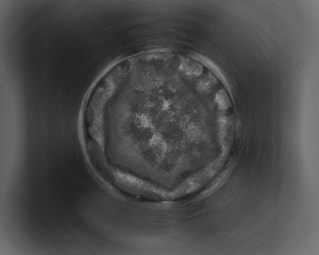 X0000100950859200807151335