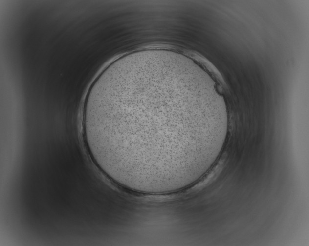 X0000100950860200807151335