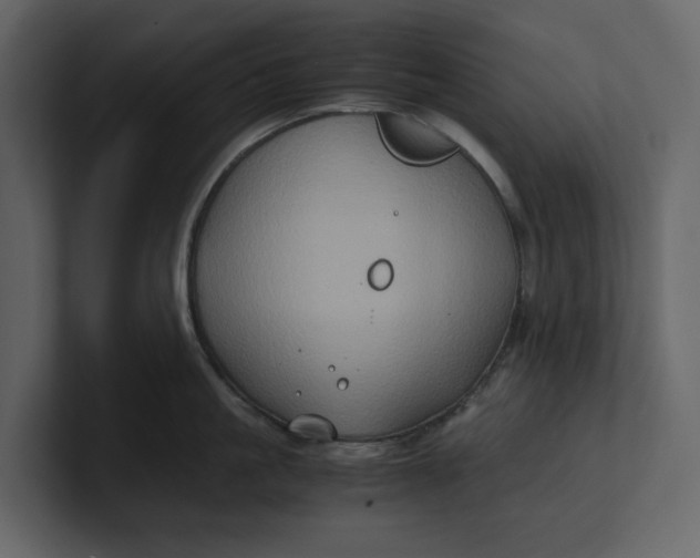 X0000100950861200807151335