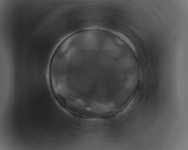 X0000100950863200807151335