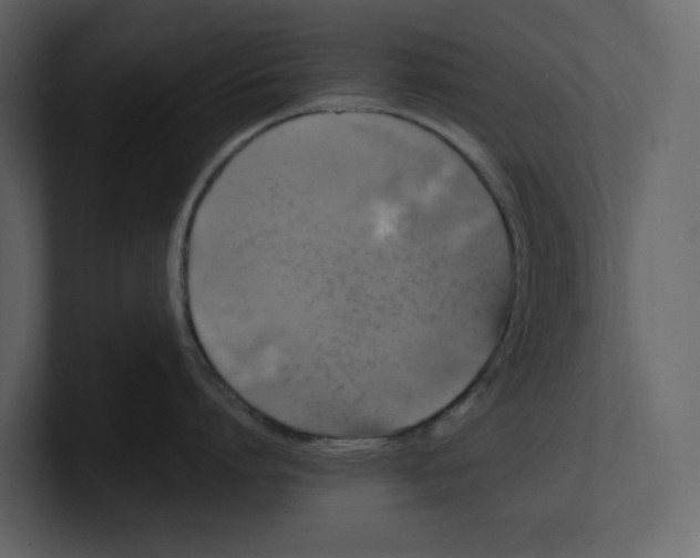 X0000100950864200807151335