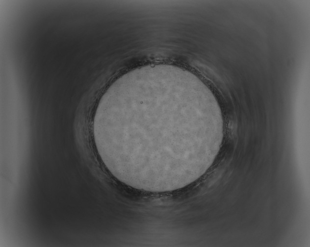 X0000100950865200807151335