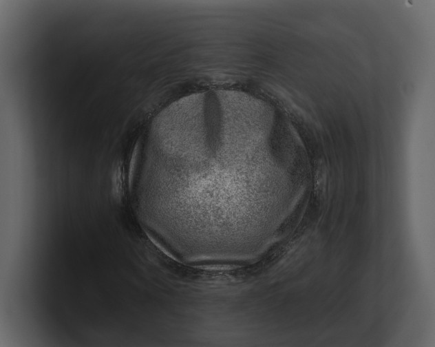 X0000100950866200807151335