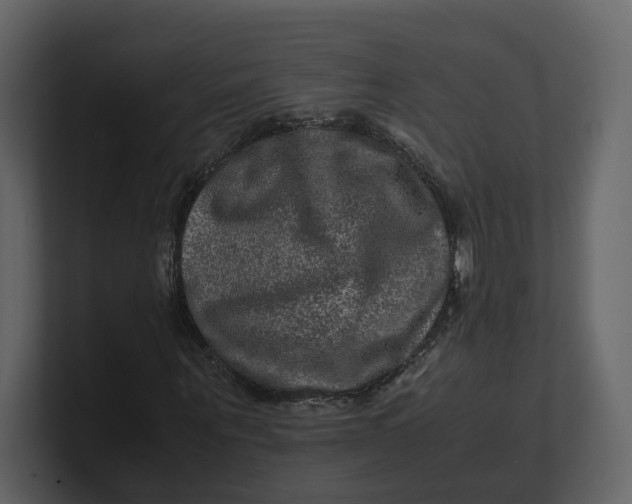 X0000100950867200807151335