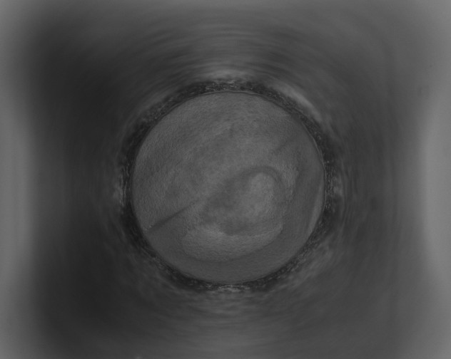 X0000100950869200807151335