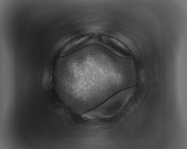 X0000100950872200807151335