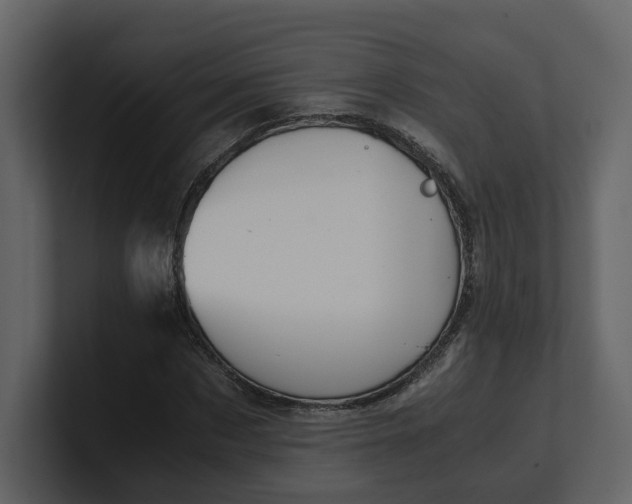 X0000100950873200807151335