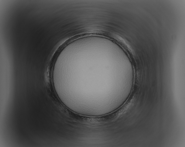 X0000100950875200807151335