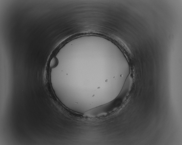 X0000100950876200807151335