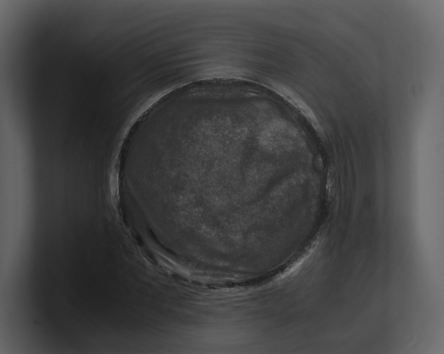 X0000100950877200807151335