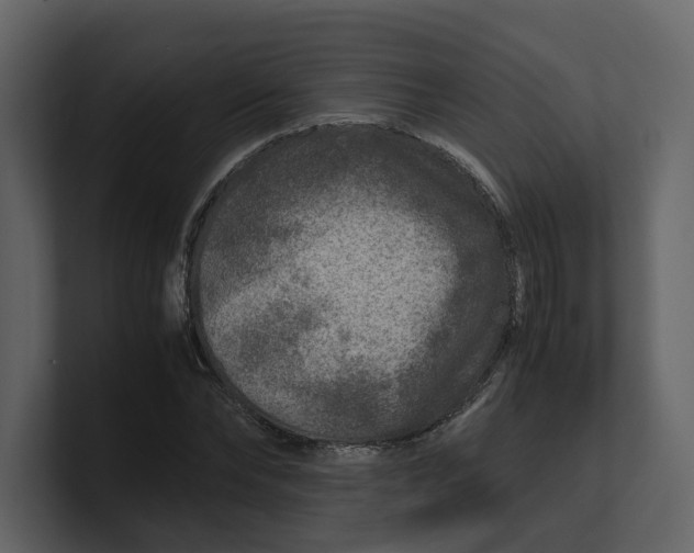 X0000100950878200807151335