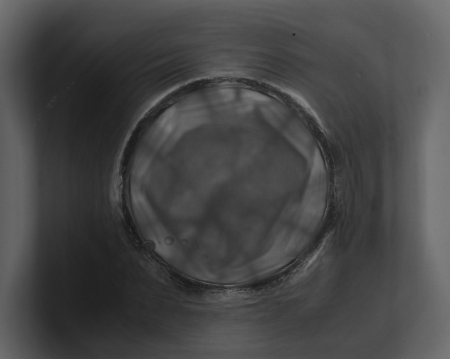 X0000100950879200807151335