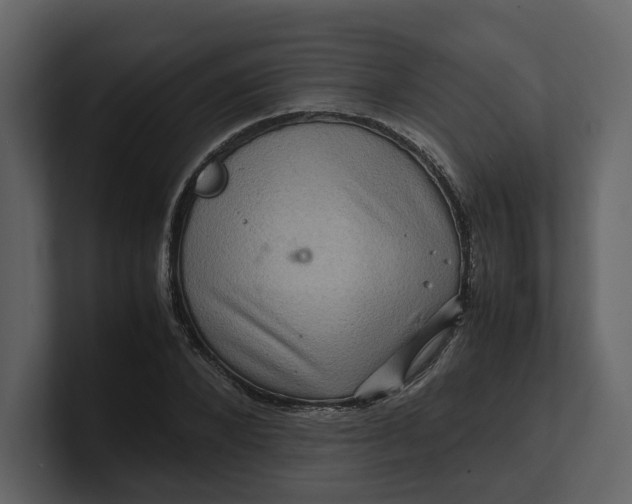 X0000100950880200807151335