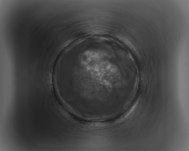 X0000100950881200807151335