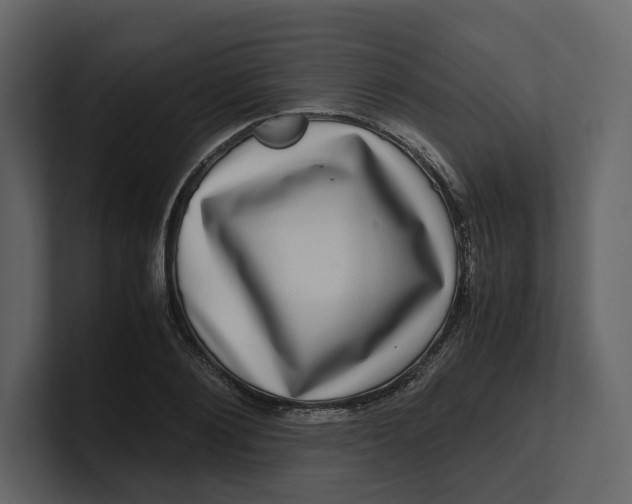 X0000100950884200807151335