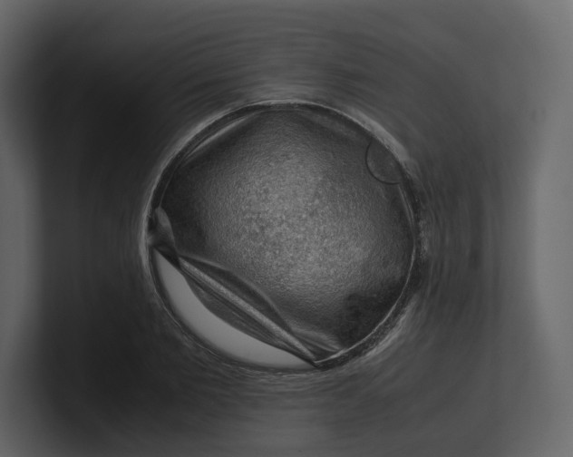 X0000100950885200807151335