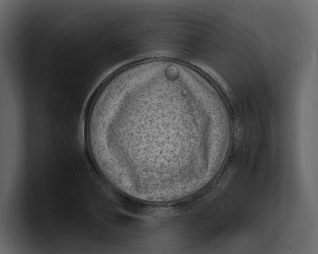 X0000100950886200807151335