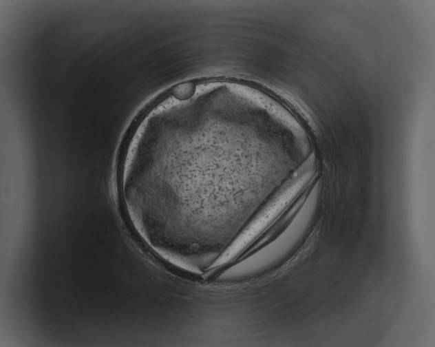 X0000100950888200807151334