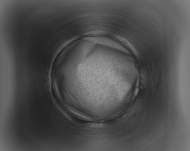 X0000100950890200807151334