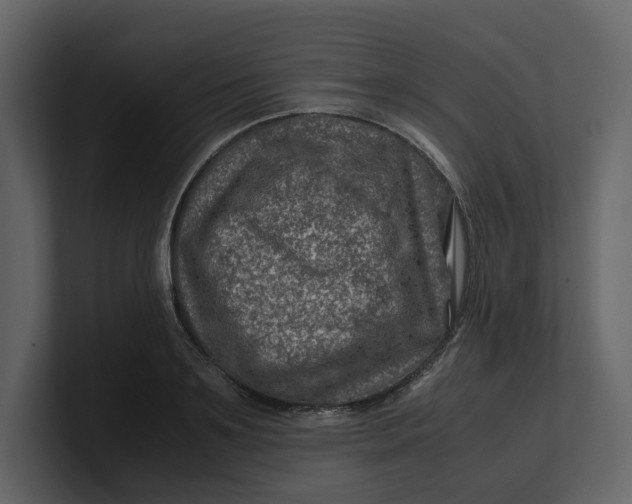 X0000100950891200807151334