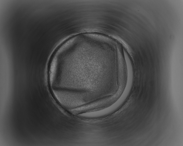 X0000100950894200807151334