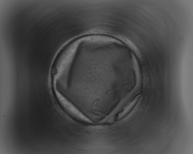 X0000100950896200807151334