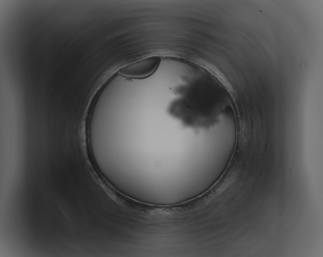 X0000100950898200807151334