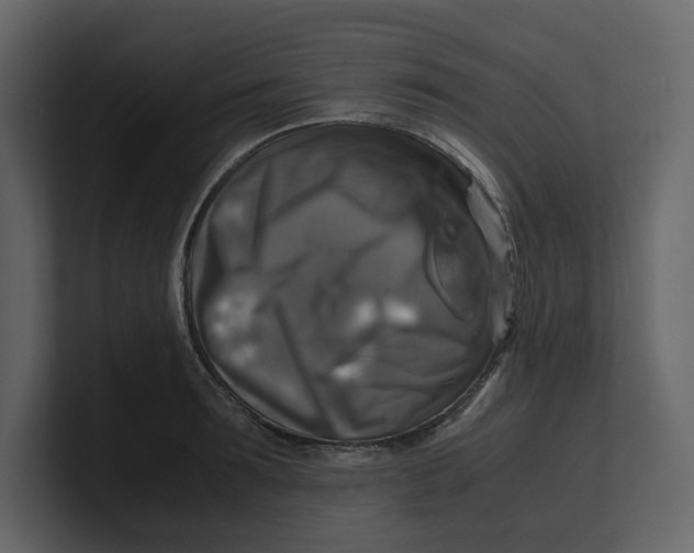 X0000100950899200807151334