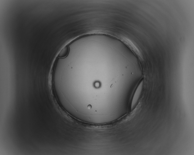 X0000100950900200807151334