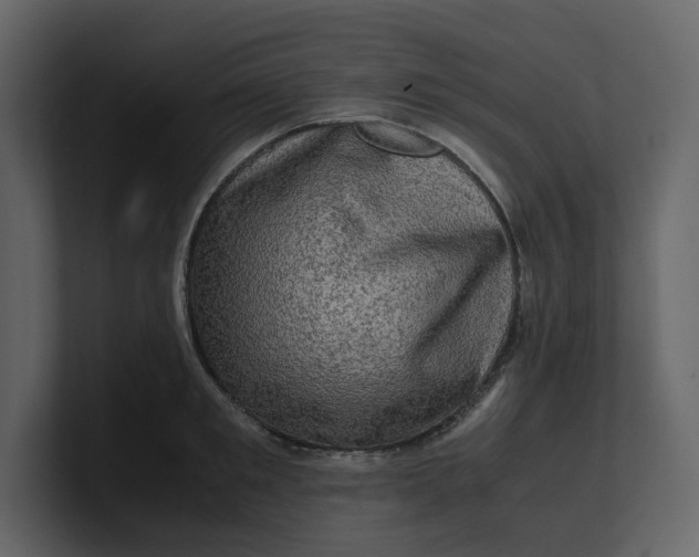 X0000100950901200807151334