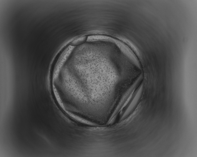 X0000100950902200807151334