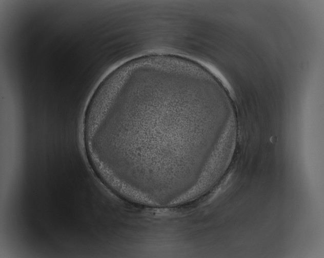 X0000100950903200807151334