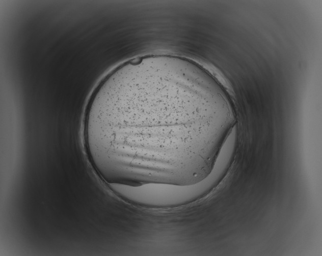 X0000100950904200807151334